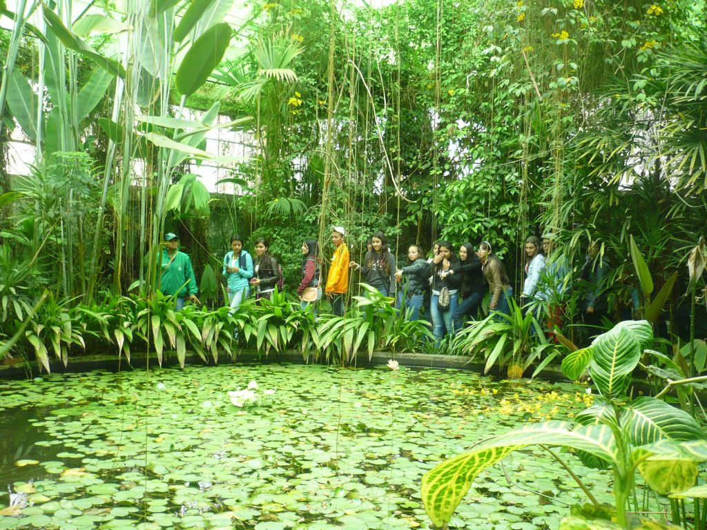 FOTOS JARDIN BOTANICO 05 DE DIC. 2015 432